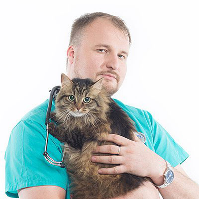Курочкин Алексей Константинович
